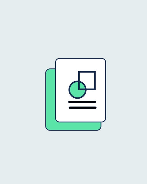 India Prior Art Search Report - Software (Detailed)