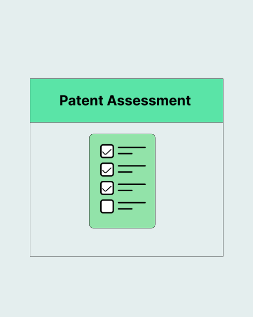 Patent Assessment